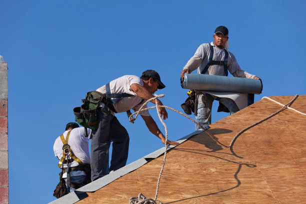 Best Residential Roof Replacement  in Roscommon, MI