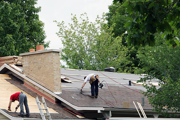 Best Roof Gutter Cleaning  in Roscommon, MI
