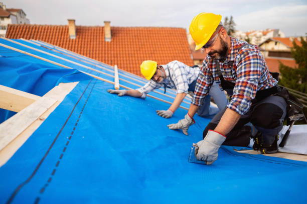 Best Roof Restoration Services  in Roscommon, MI
