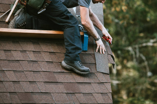 Best Roof Waterproofing Services  in Roscommon, MI
